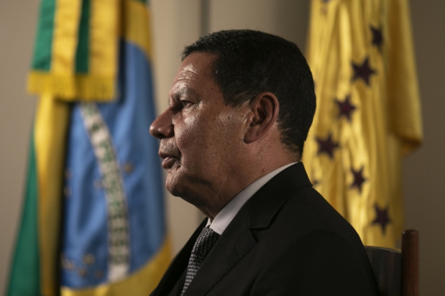 Macaque in the trees