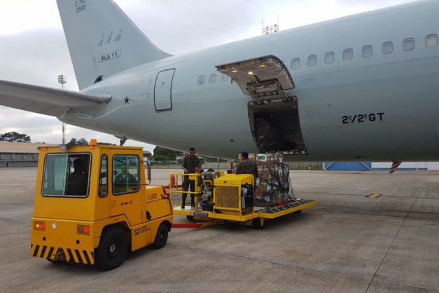 Macaque in the trees