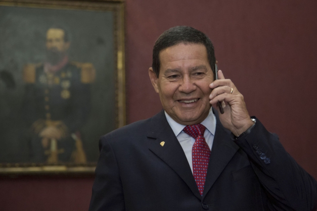 Macaque in the trees