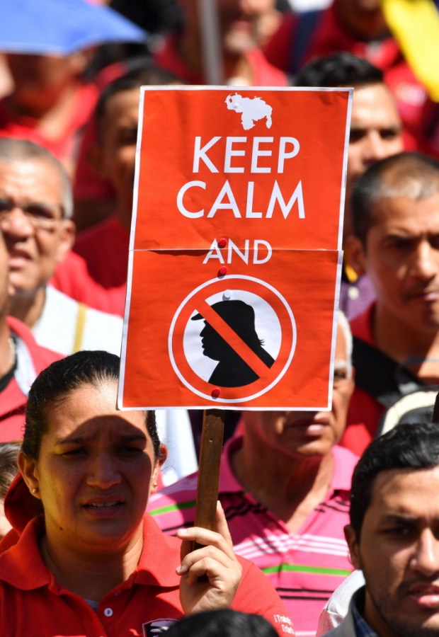 Macaque in the trees
