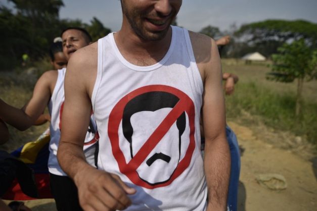Macaque in the trees