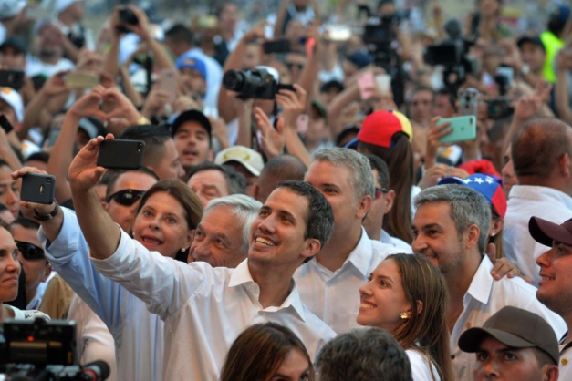 Macaque in the trees