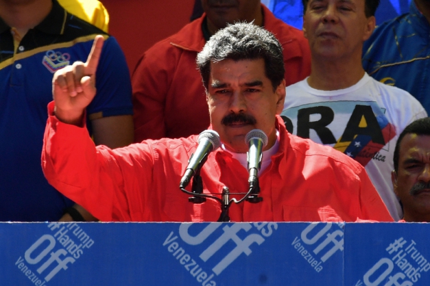 Macaque in the trees