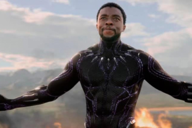 Macaque in the trees