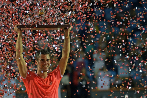Macaque in the trees