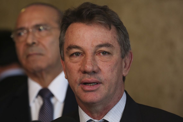 Macaque in the trees