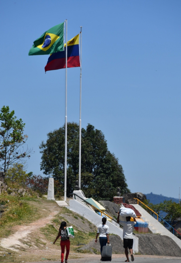 Macaque in the trees
