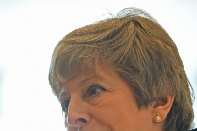 Macaque in the trees