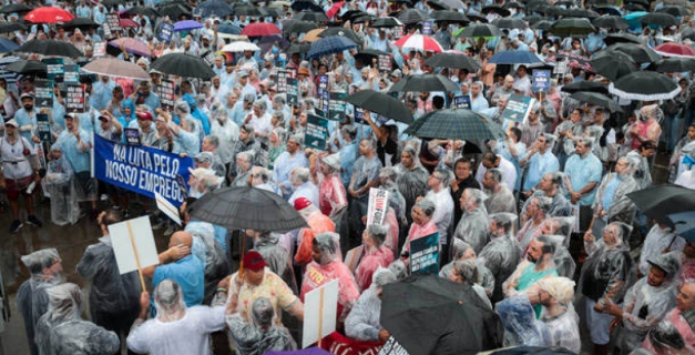 Macaque in the trees