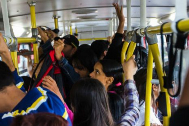 Macaque in the trees