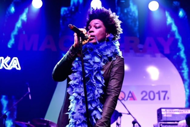 Macaque in the trees