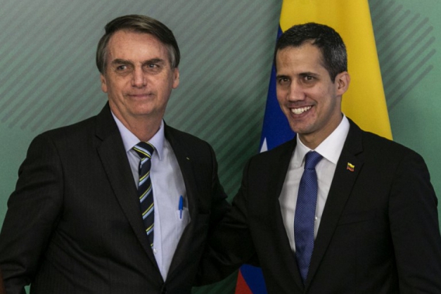 Jair Bolsonaro e Juan Guaido Macaque in the trees