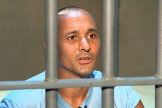 Macaque in the trees