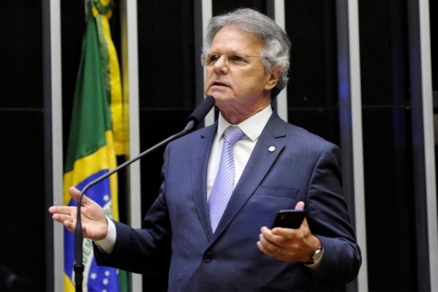 Macaque in the trees