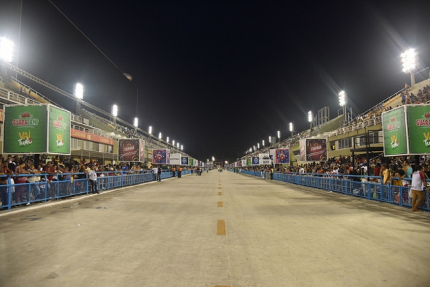Macaque in the trees
