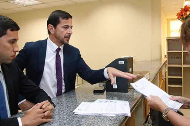 Macaque in the trees