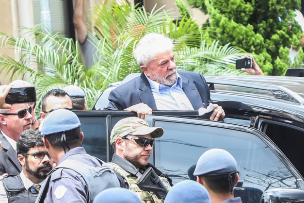 Macaque in the trees