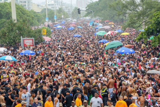 Macaque in the trees