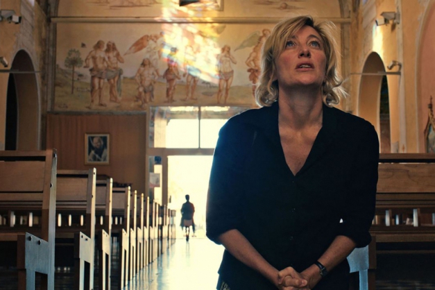 Macaque in the trees