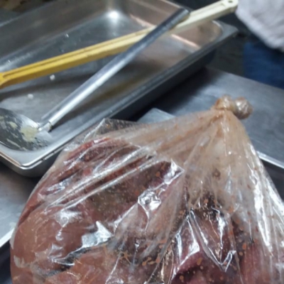 Macaque in the trees