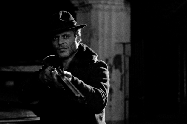 Macaque in the trees