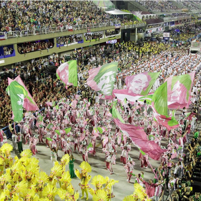 Macaque in the trees