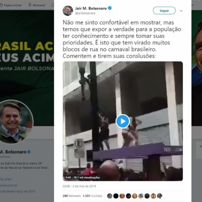 Macaque in the trees