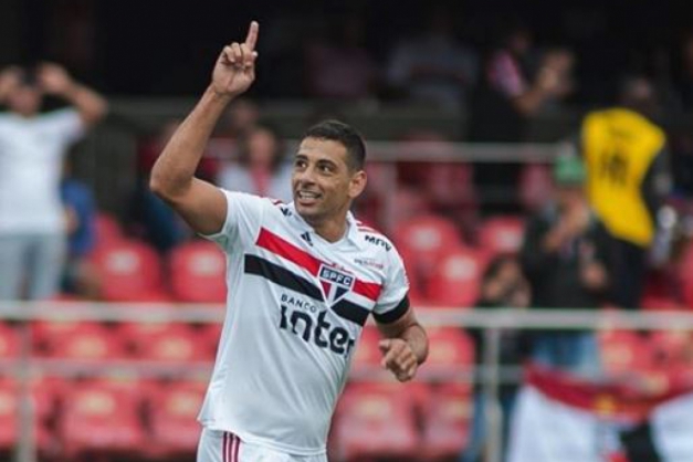 Macaque in the trees