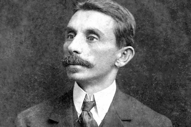 Macaque in the trees