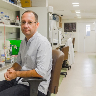 Macaque in the trees