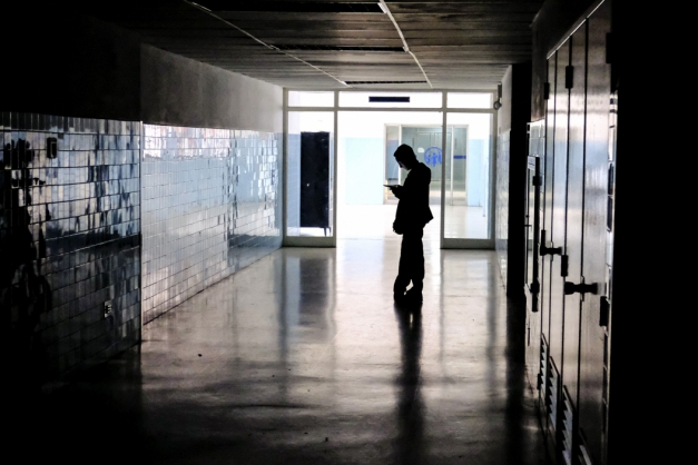 Macaque in the trees
