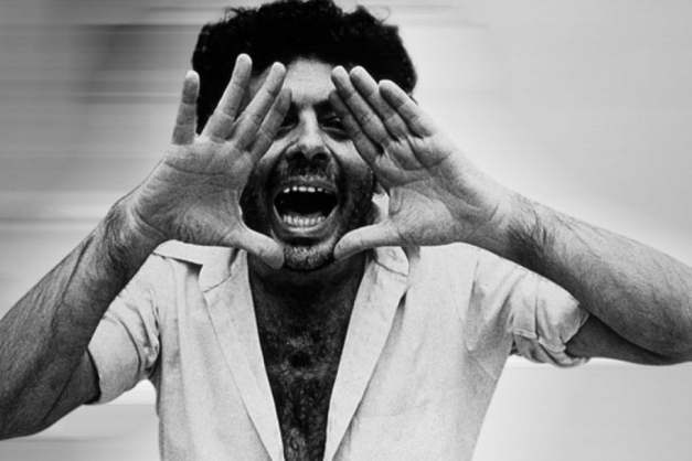 Macaque in the trees