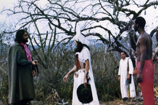 Macaque in the trees