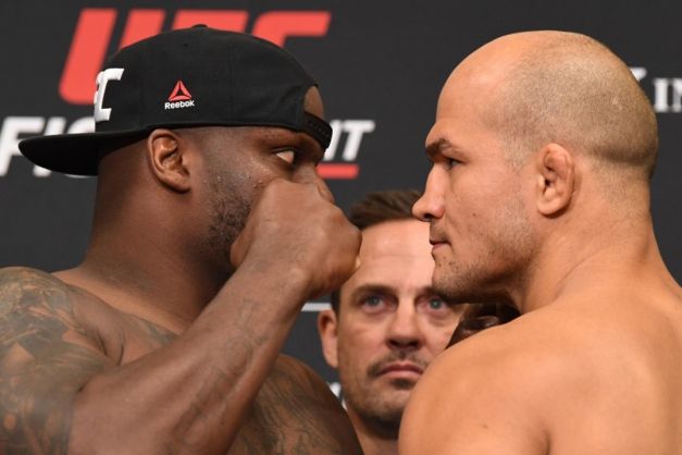 Macaque in the trees