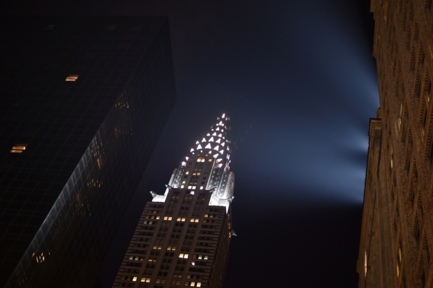 Macaque in the trees
