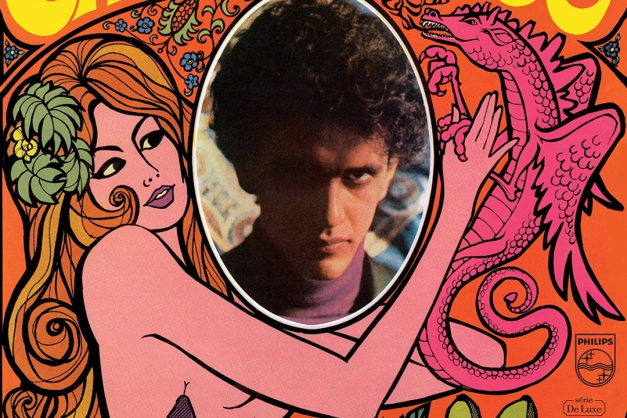 Macaque in the trees