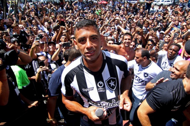 Macaque in the trees