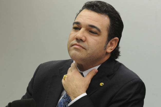 Macaque in the trees