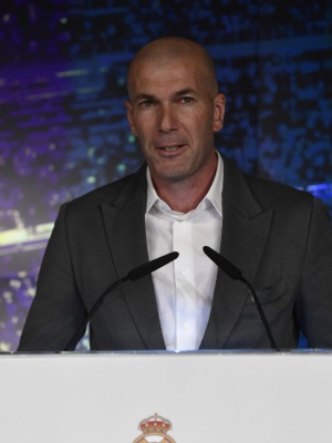 Macaque in the trees