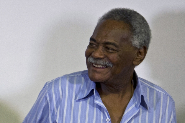 Macaque in the trees