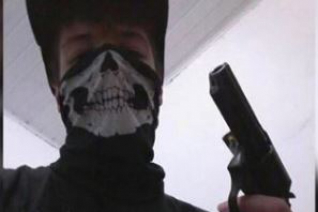 Macaque in the trees