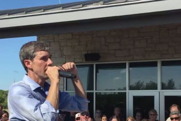 Macaque in the trees