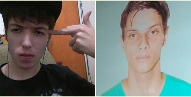 Macaque in the trees