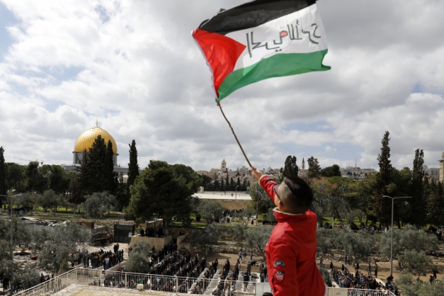 Macaque in the trees