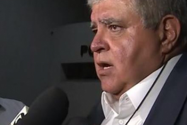 Macaque in the trees