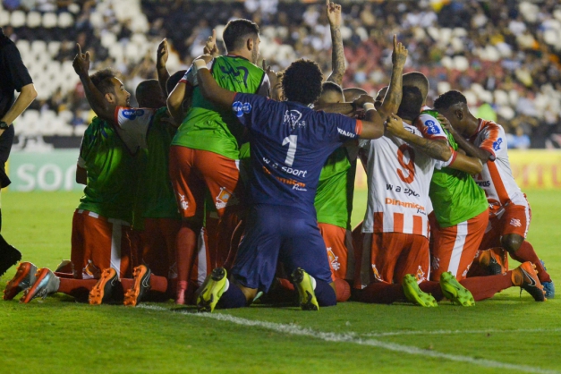 Macaque in the trees