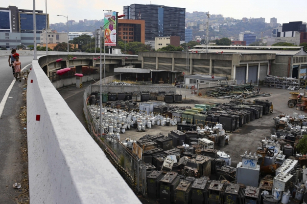 Macaque in the trees