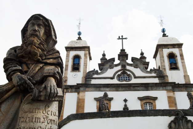 Macaque in the trees
