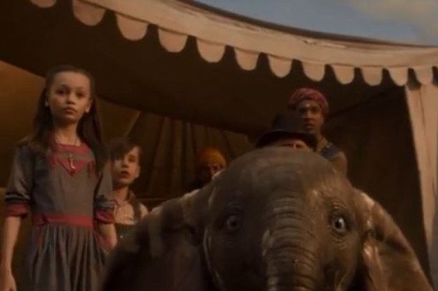 Macaque in the trees