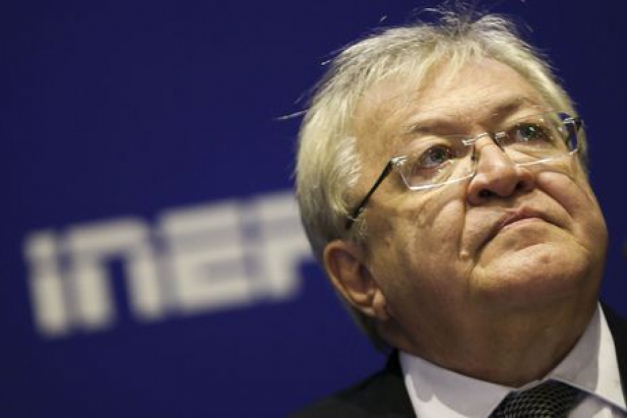 Macaque in the trees